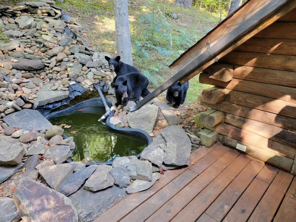 Very Private, Real Log Cabin With Hot Tub! Sevierville Bagian luar foto