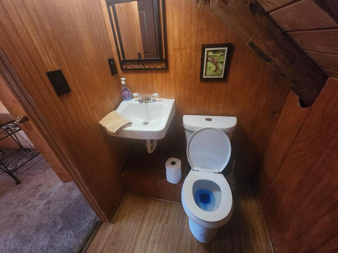 Very Private, Real Log Cabin With Hot Tub! Sevierville Bagian luar foto